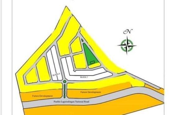 Developers Expand Retail and Township Projects in Uptown CDO
